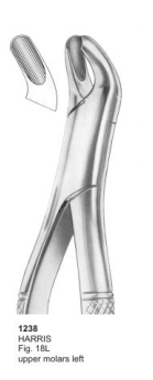  HARRIS Fig. 18L upper molars left 
